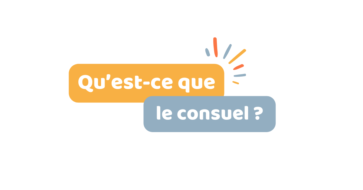 Qu’est-ce que le consuel ?